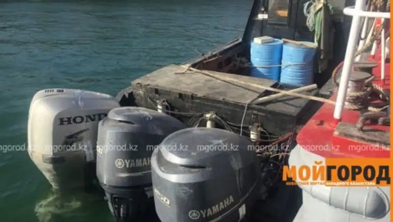 В Мангистауской области во время погони со стрельбой задержали браконьеров из Азербайджана