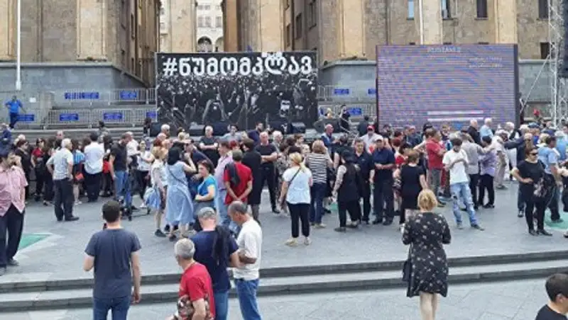 В Тбилиси возобновились протесты