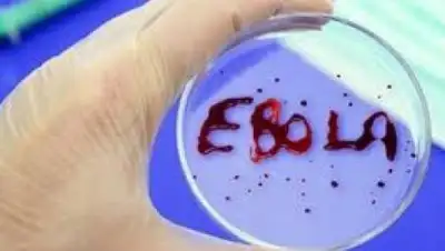 Zakon.kz, фото - Новости Zakon.kz от 05.12.2014 22:33