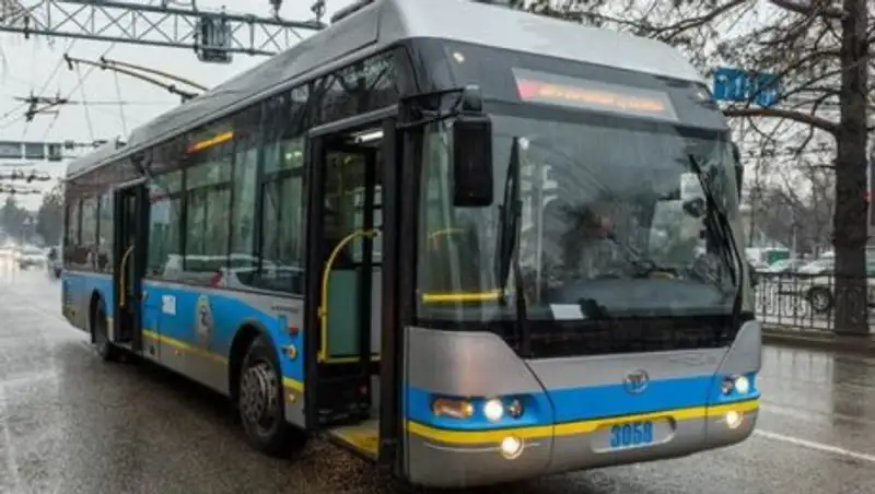 В Алматы владелец ищет уникальный музыкальный инструмент