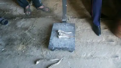 Zakon.kz, фото - Новости Zakon.kz от 29.06.2015 15:21