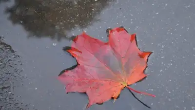 Zakon.kz, фото - Новости Zakon.kz от 29.10.2015 13:10