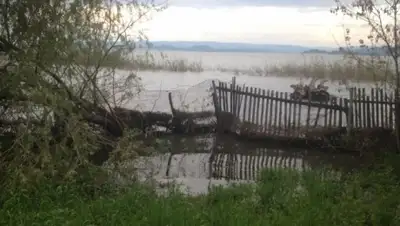 Zakon.kz, фото - Новости Zakon.kz от 20.06.2015 20:00