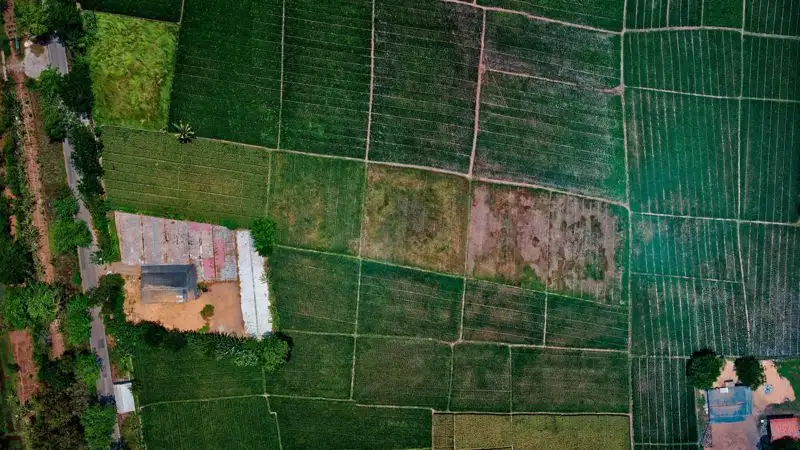 Поправки в КОАП: сотрудников акиматов будут наказывать за нарушение земельного законодательства