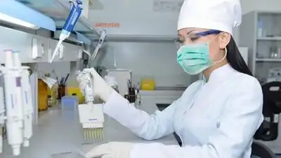 zakon.kz., фото - Новости Zakon.kz от 19.10.2020 08:00