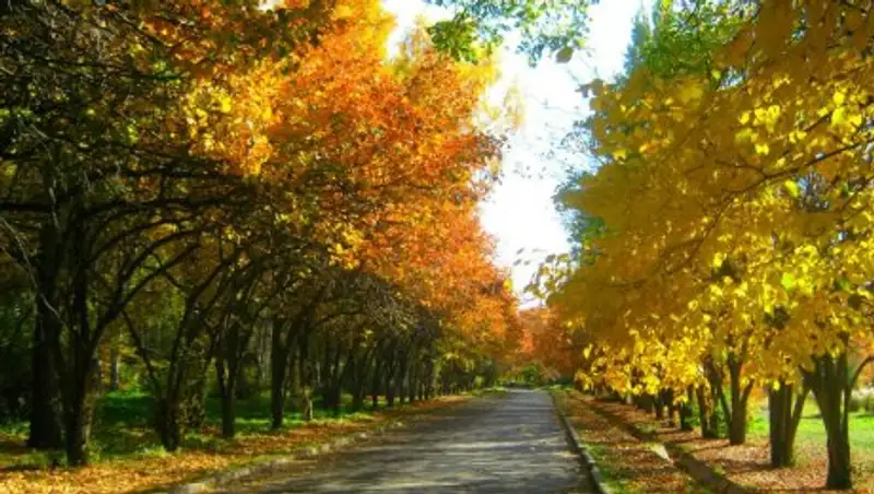 Ботанический сад Алматы ждет обновление - аким Бостандыкского района Б.Торгаев