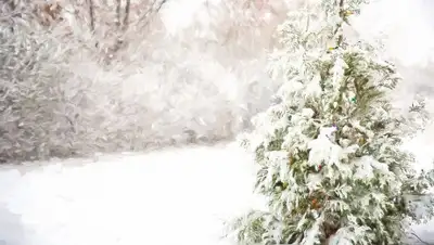 Pixabay, фото - Новости Zakon.kz от 30.12.2019 07:35