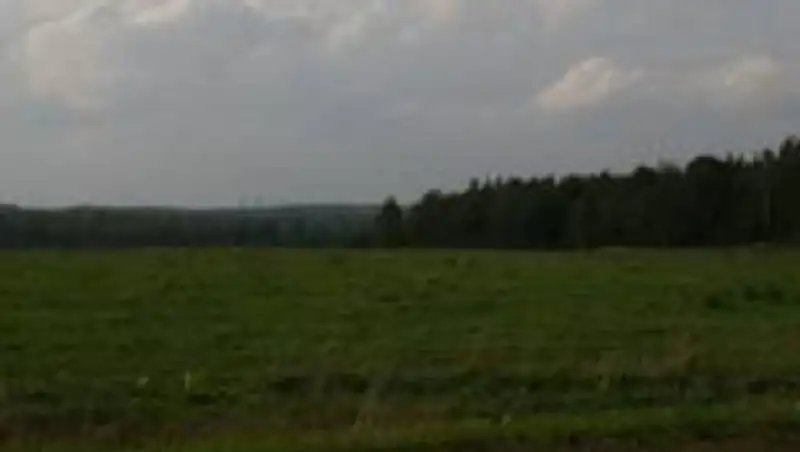 233 тыс. га земли используются не по назначению в Алматинской области