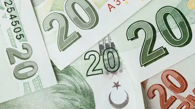 Турецкая валюта, фото - Новости Zakon.kz от 18.07.2023 16:33