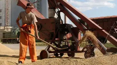 Аграрии вынуждены продавать фермерские хозяйства из-за падения цен на продукцию , фото - Новости Zakon.kz от 22.05.2023 06:10