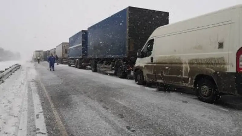 МВД РК обратилось к казахстанским водителям