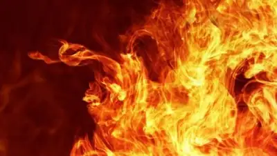 Zakon.kz, фото - Новости Zakon.kz от 30.11.2016 03:38