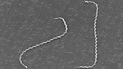 Zakon.kz, фото - Новости Zakon.kz от 19.02.2016 17:05