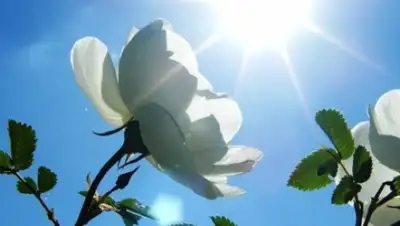 Zakon.kz, фото - Новости Zakon.kz от 01.07.2015 14:08