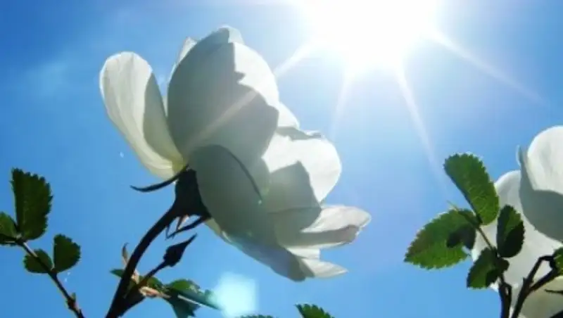 На большей части территории Казахстана ожидается погода без осадков