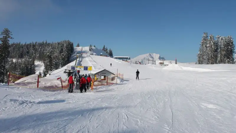 В результате схода лавины в Австрии погибли пять человек