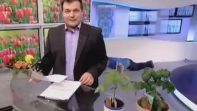 Zakon.kz, фото - Новости Zakon.kz от 02.04.2017 13:21