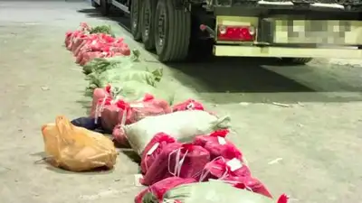 Сотни колограмм смолы каннабиса пытались вывезти в Россию через Актюбинскую область, фото - Новости Zakon.kz от 10.07.2023 06:25
