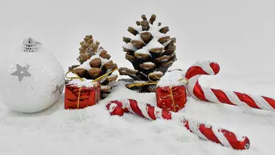 Снег на большей части Казахстана прогнозируют синоптики в ближайшие три дня , фото - Новости Zakon.kz от 28.12.2022 11:54