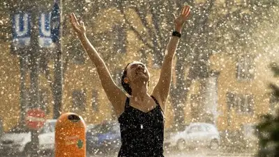 Zakon.kz, фото - Новости Zakon.kz от 24.05.2017 21:59