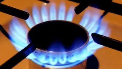 Zakon.kz, фото - Новости Zakon.kz от 12.12.2014 21:07