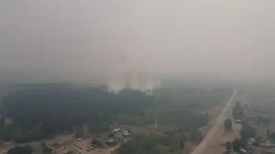 лес, фото - Новости Zakon.kz от 09.06.2023 22:05