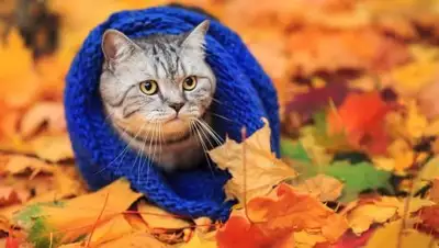 Zakon.kz, фото - Новости Zakon.kz от 02.10.2017 06:00