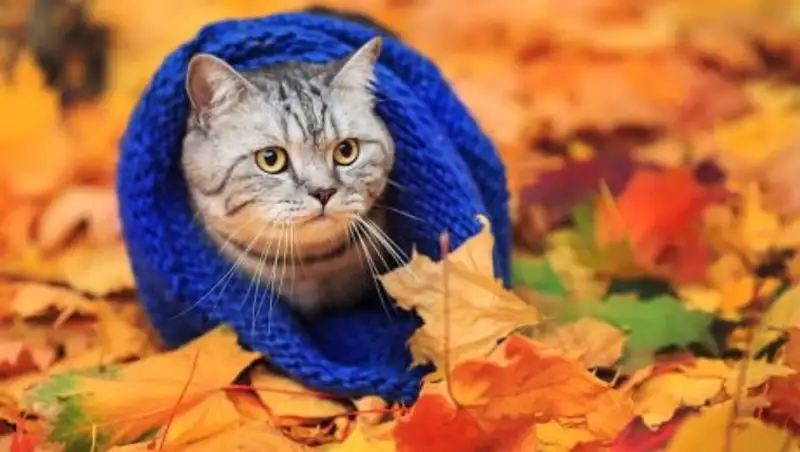 В понедельник в нескольких областях Казахстана ожидаются заморозки до 5 градусов