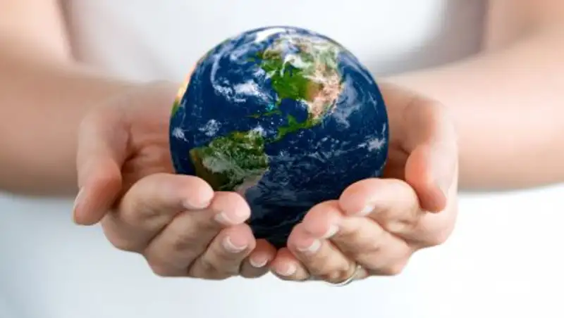 Сегодня всемирный день окружающей среды