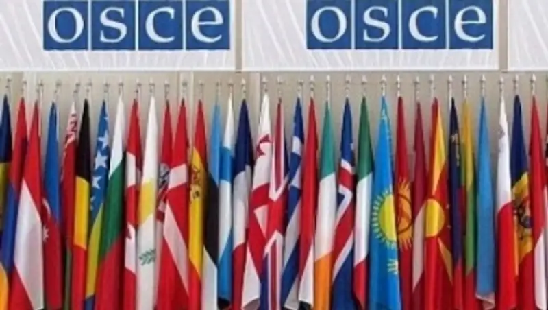 Казахстанская делегация приняла участие в сессии ПА ОБСЕ в Вене 