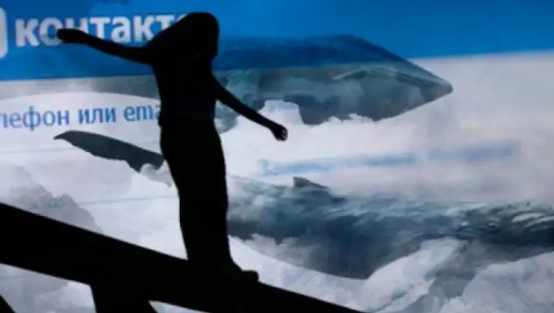 Почему «синий кит» опаснее «синего отца»?