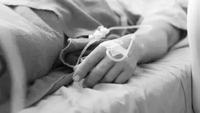 ca-portal.ru, фото - Новости Zakon.kz от 14.06.2020 22:50