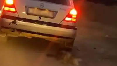 кадр из видео, фото - Новости Zakon.kz от 20.10.2021 14:22