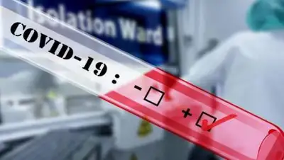 pixabay, фото - Новости Zakon.kz от 13.04.2021 16:43