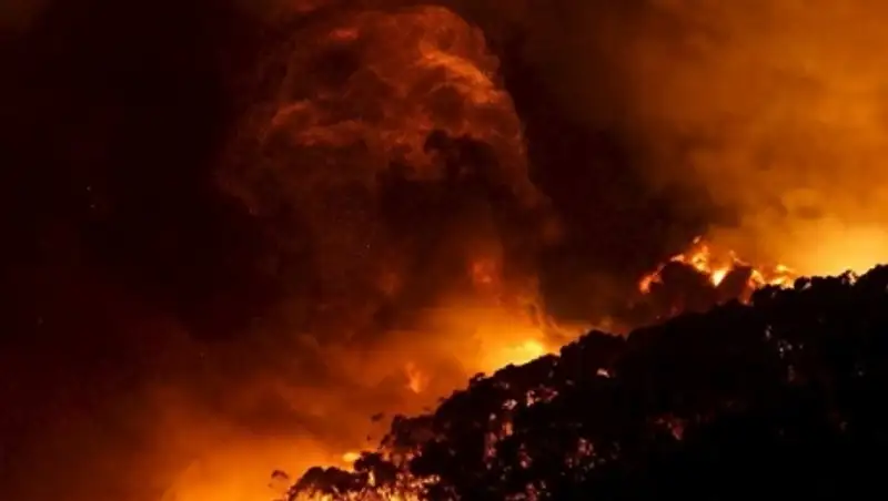 Разразившийся в Рождество лесной пожар уничтожил 53 дома в Австралии