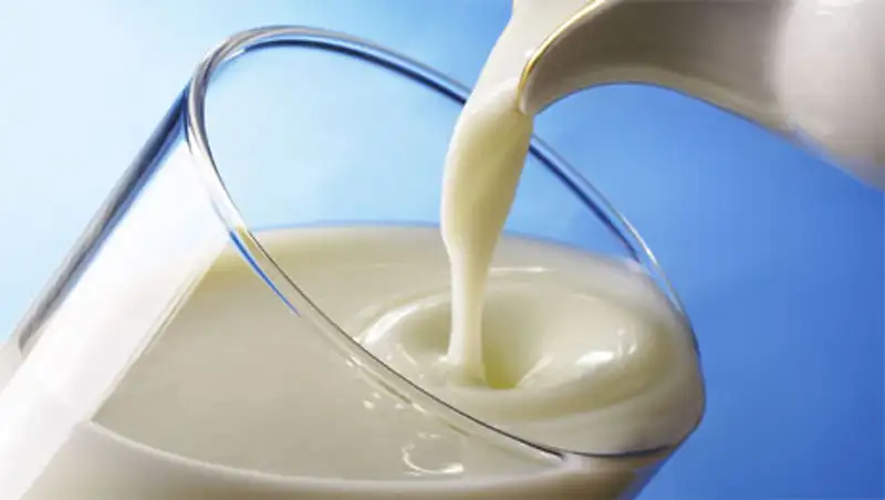 Казахстанское молоко может конкурировать в России