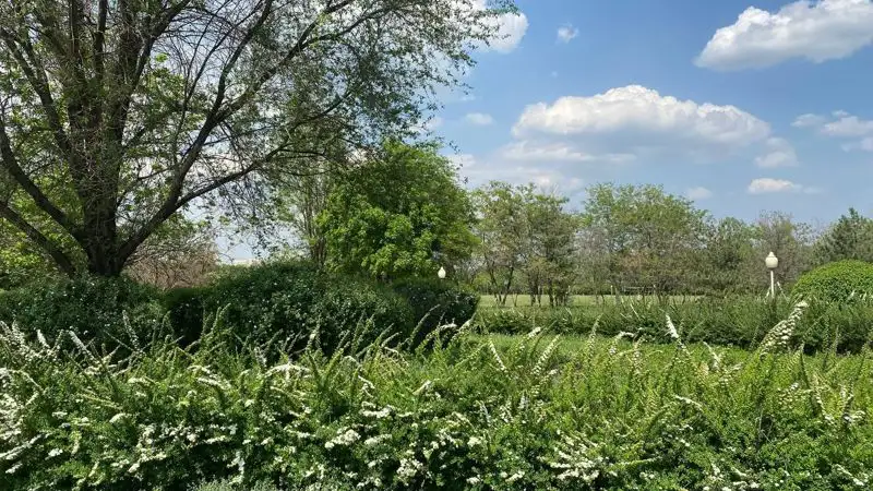 В горах Алматы планировали незаконно застроить жилыми комплексами 13 га