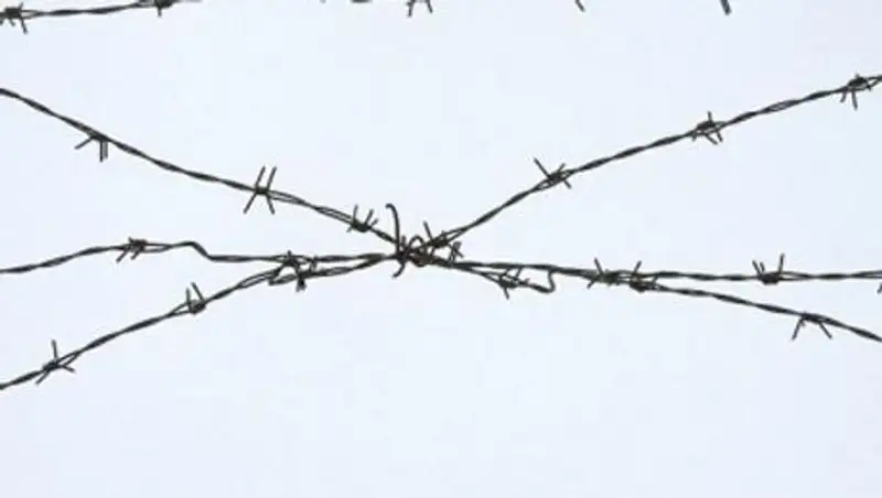 Исследователи описали психосоциальный портрет осужденных женщин в Казахстане