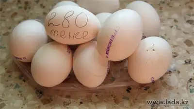 Zakon.kz, фото - Новости Zakon.kz от 06.11.2013 16:33