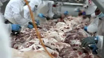 Управление внутренней политики Акмолинской области", фото - Новости Zakon.kz от 15.07.2018 18:25