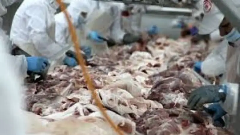 В Акмолинской области  стартует проект по развитию мясного кластера