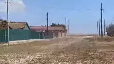 саранча, фото - Новости Zakon.kz от 06.07.2023 11:46