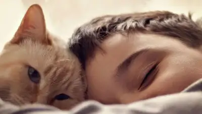 сон, фото - Новости Zakon.kz от 31.07.2022 15:48