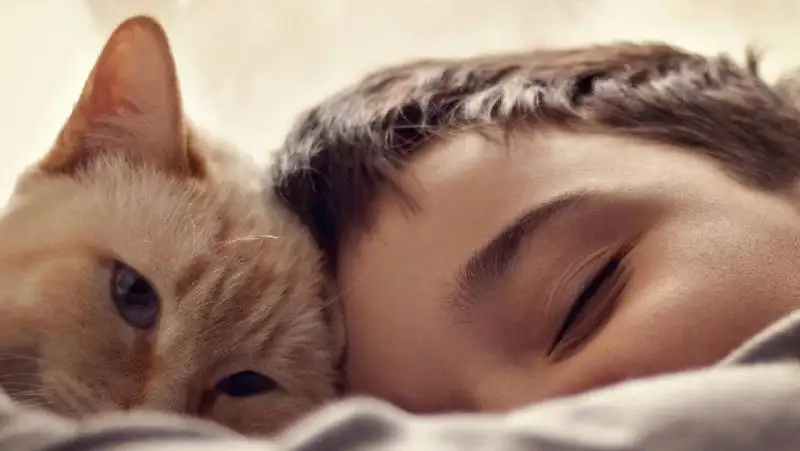 Недосып у детей влияет на интеллект, память и самочувствие – исследование