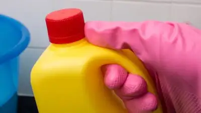 Pixabay, фото - Новости Zakon.kz от 26.04.2021 20:33