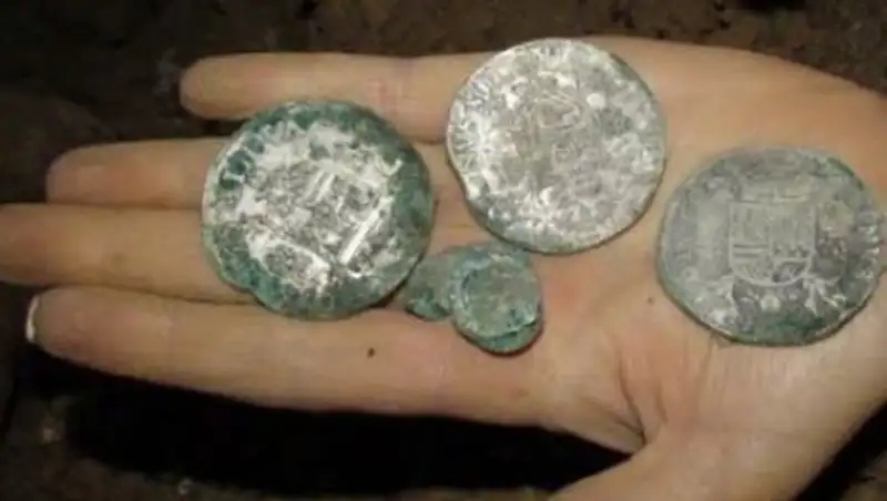 Пара из Франции нашла 3000 драгоценных монет в подвале своего дома