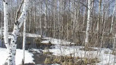 Zakon.kz, фото - Новости Zakon.kz от 06.03.2014 15:13