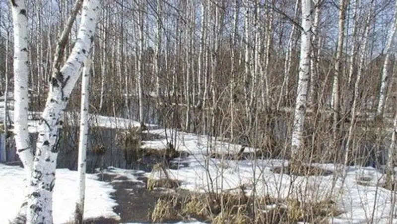 Сегодня на большей части территории Казахстана ожидается погода без осадков