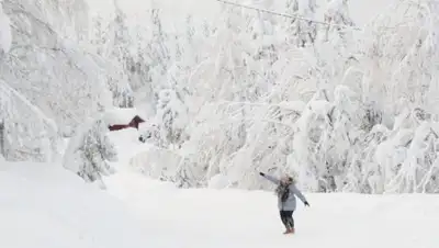 pxhere.com, фото - Новости Zakon.kz от 25.01.2019 19:39