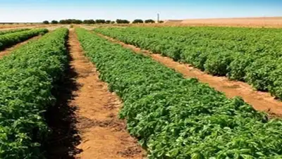 Zakon.kz, фото - Новости Zakon.kz от 27.07.2015 23:33